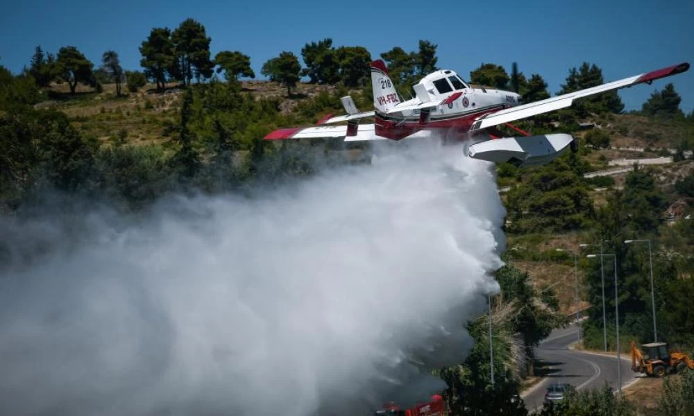 Τις σαράντα οκτώ έφτασαν οι δασικές πυρκαγιές το τελευταίο 24ωρο στη χώρα
